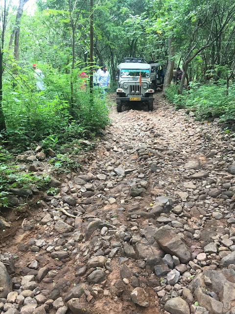 Forest Route ishta kameswari devi temple srisailam