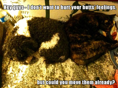 Hey, guys - I don't want to hurt your butts' feelings, but could you move them already?