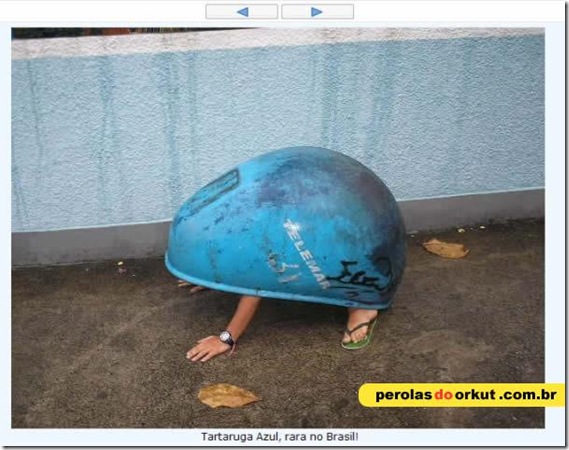 Perolas Orkut (2)