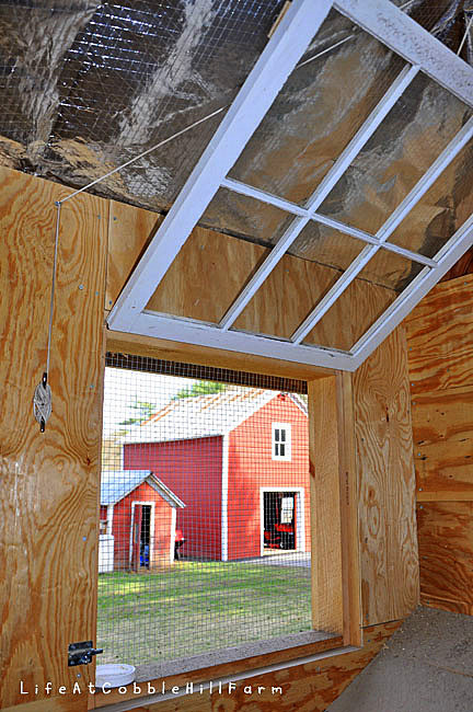 Here is a basic overview of the needs of a permanent chicken coop: