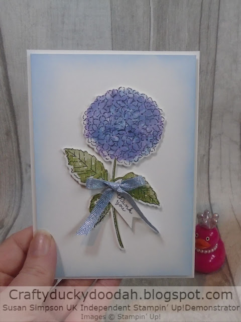 Craftyduckydoodah, Hydrangea Haven, Stampin' Up, Ink Stamp Share, Spring/Summer 2021