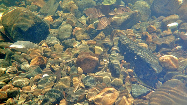 clear and cool water at the natural pool under Balantak Falls in Basey Samar