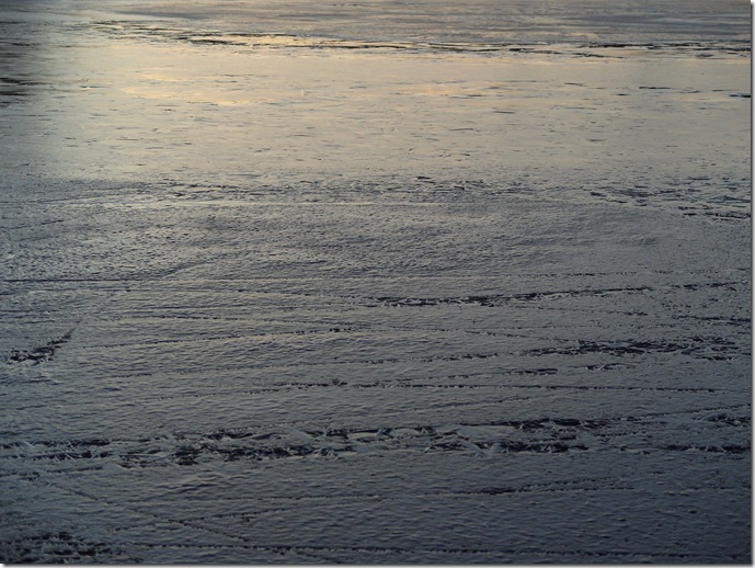 S1050413