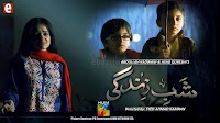 Shab -E- Zindagi Episode 19 - 3 June 2014 On Hum Tv