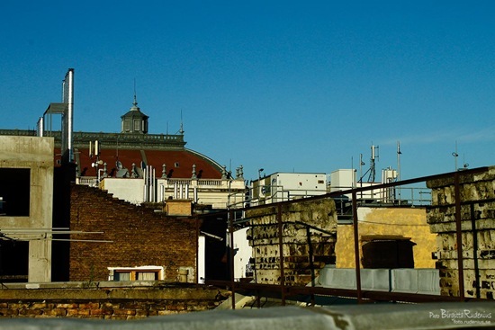 house_20110912_roofs