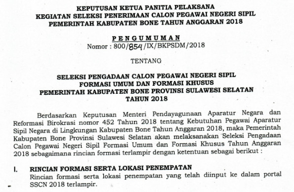 Pengumuman Cpns Kabupaten Bone Sulawesi Selatan Tahun 2018