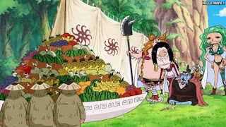 ワンピースアニメ 507話 女ヶ島 ハンコック ジンベエ | ONE PIECE Episode 507