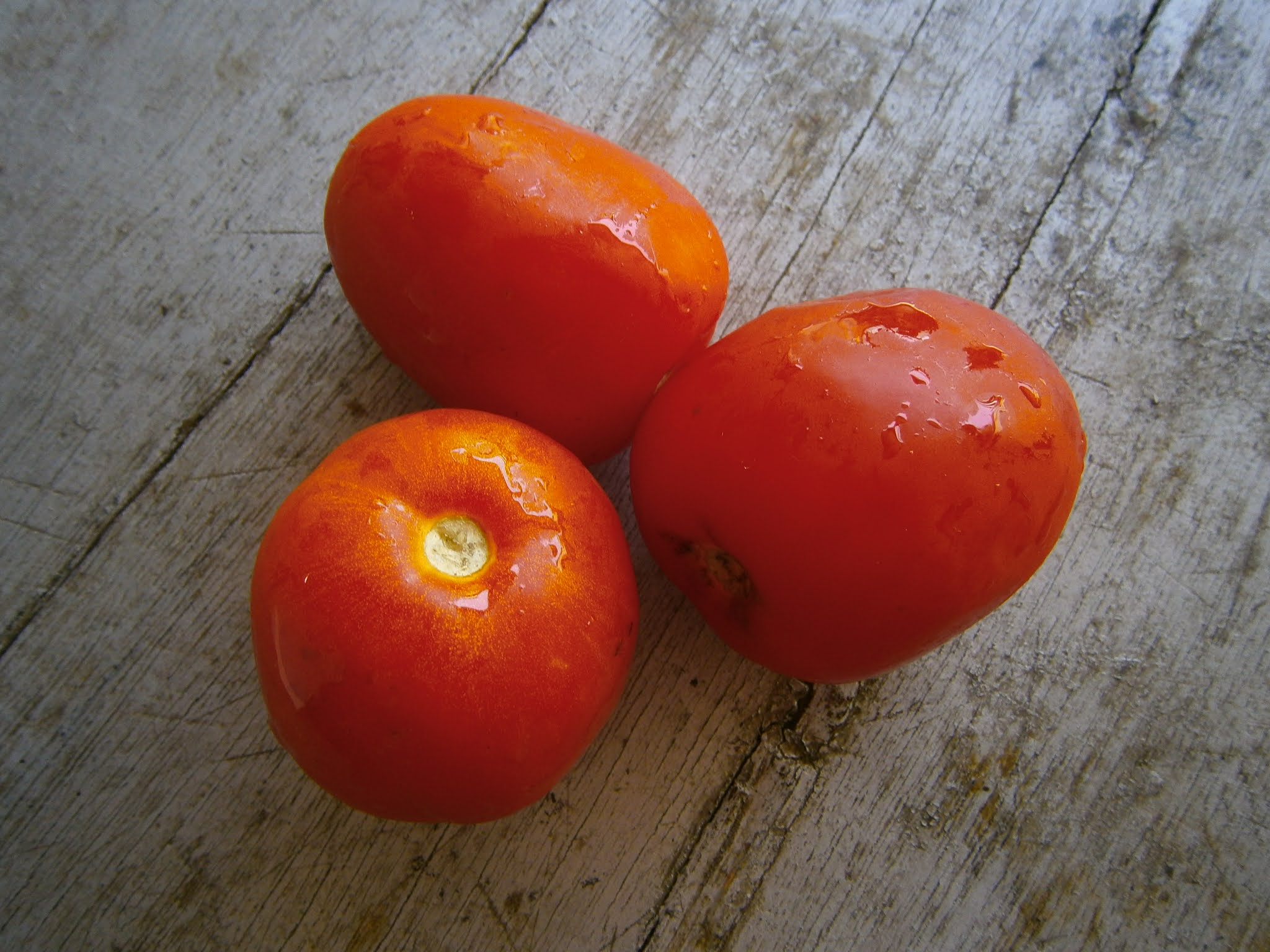 Tomates frescos puestos sobre una mesa de madera de color plomo