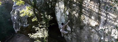 Tony dans les Bucherons