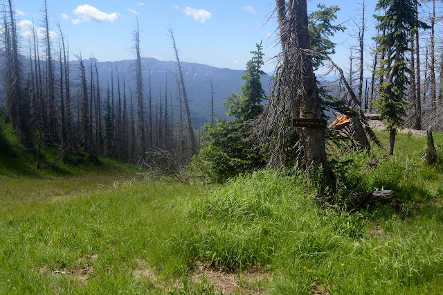 sign and a grassy area to travel