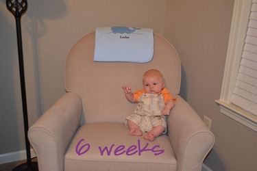 week 6