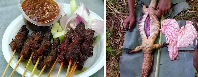 sate biwak sebagai obat alternatif karena alasan tertentu. Menurut sebagian orang daging biawak dapat menyembuhkan beberapa penyakit