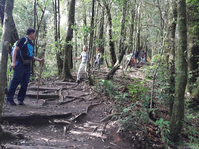 Hiking the Kew Mae Pan nature trails at Doi Inthanon National Park