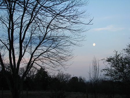 moonsetlandscape