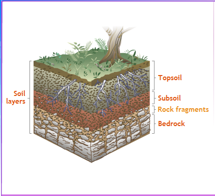 Profil Tanah Soil Horizon Geograph88