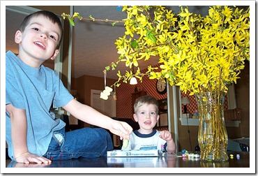 Spring Tree_Little House 034