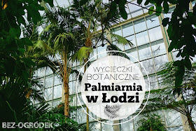 zwiedzanie łódzkiej palmiarni