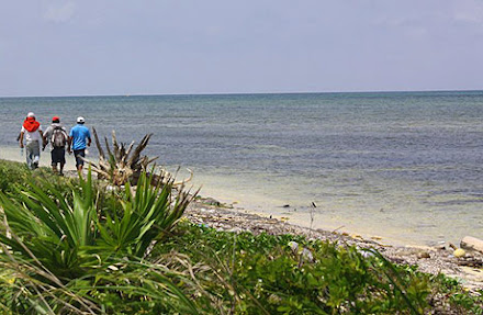 Buscan en Mahahual a un pescador que no salió de una inmersión