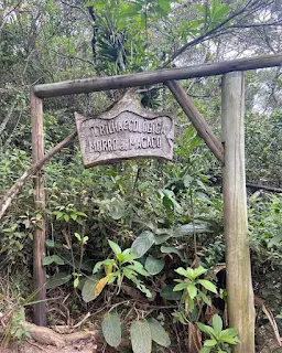 trilha do morro do macaco bombinhas santa catarina