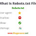 How To Add Custom Robots.Txt File In Blogger Blogspot