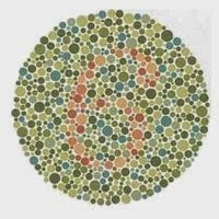 Ishihara Test Image 6