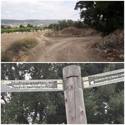 GR-175 Ruta del Cister, Santes Creus a Rocafort de Queralt, camí aprop de la Rasa de Coma d'Heures