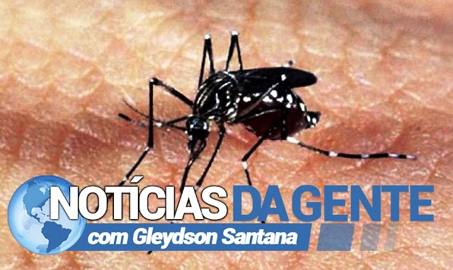 Região de Irecê: Casos de dengue e chikungunya assustam moradores de Uibaí