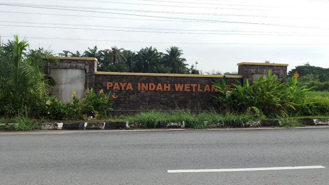 Paya Indah Wetlands