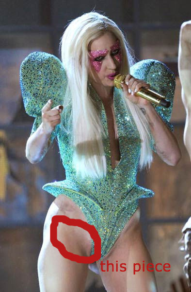 the lady gaga hermaphrodite