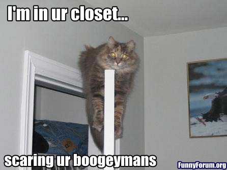 funny pictures of animals with captions. funny captions