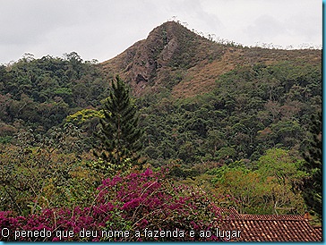 FOTOS DIVERSAS set 2010 Gary 292