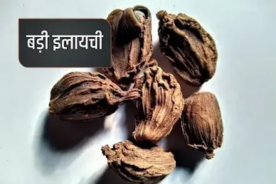 big cardamom - strong and pungent spice name in Hindi