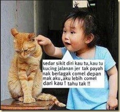 marah-kucing