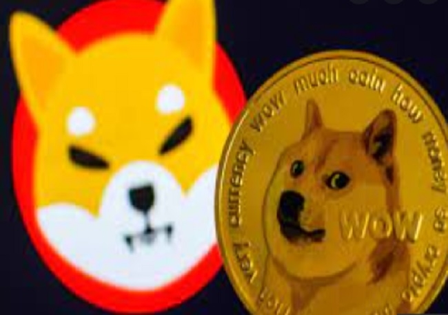 Dogecoin y Shiba Inu son testigos de un aumento masivo; Comprueba aquí por qué?