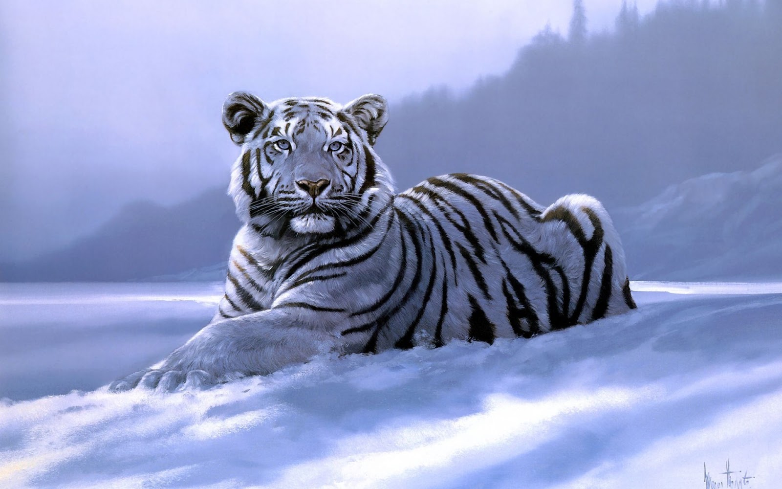 ... -de-Tigres-Blancos-Nieve_Imagenes-Animales-Salvajes-Tigres-Blanco.jpg