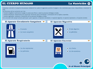 http://www.educa.jcyl.es/educacyl/cm/gallery/Recursos%20Boecillo/CUERPO%20HUMANO/index.html