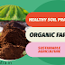 Organic Soil Fertility Management: A Complete Guide for Indian Farmers