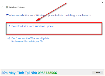 Chọn Download files from Windows Update