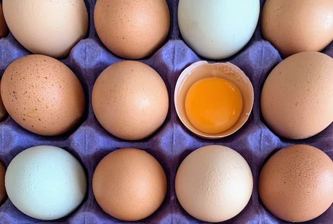 La producción de huevos de consumo presentó un crecimiento interanual de 2,7% en noviembre de 2023