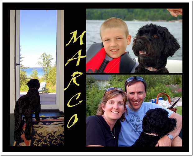marco1