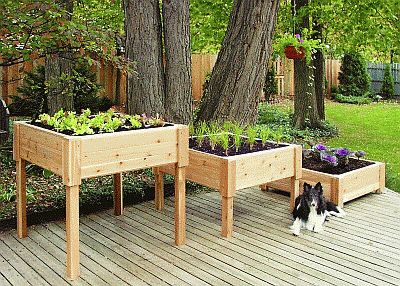 Cheap Wooden Garden Furniture on First A Dream  Growing Greens Indoors