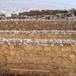 View album