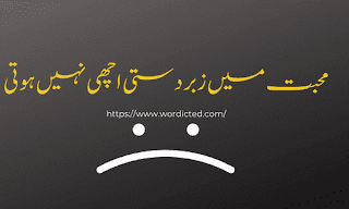 20+ One Line Quotes In Urdu About Life