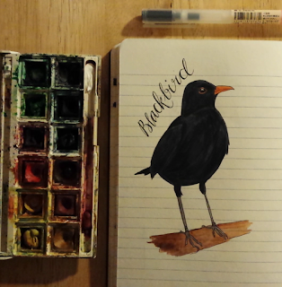 www.AliceDrawsTheLine.co.uk :: Blackbird