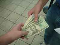 Taking Surveys Online: Earn a Handful of Money