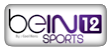 http://www.2flam.org/2014/01/12-watch-bein-sports-12-english-online.html