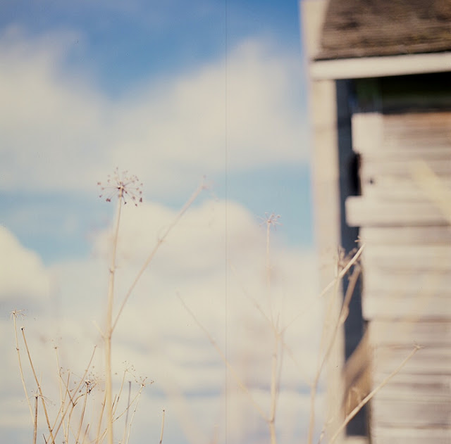 Elyse Bouvier - Prairies