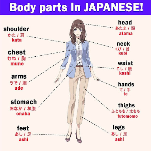 Body Parts in Japanese