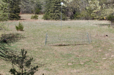 Tom's in the shadow, center left. Hen's the dark spot, center right.