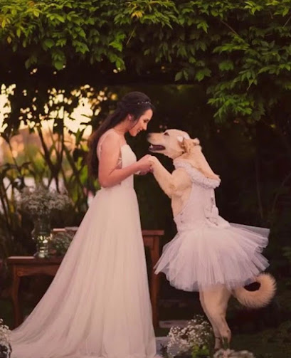 Perrita dama de honor boda